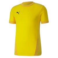 Puma teamGOAL 23 Trikot Herren - gelb