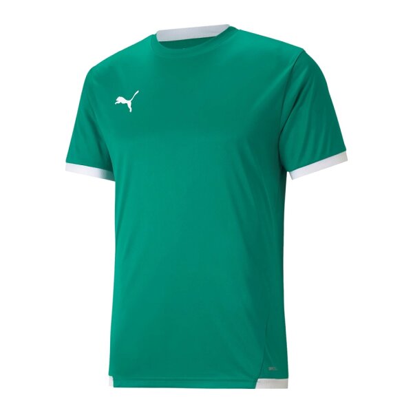 Puma teamLIGA Trikot Herren - grün