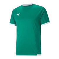 Puma teamLIGA Trikot Herren - grün