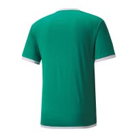 Puma teamLIGA Trikot Herren - grün