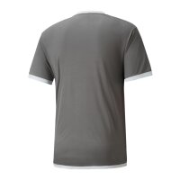 Puma teamLIGA Trikot Herren - grau