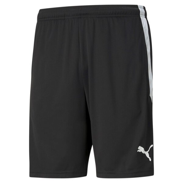 Puma teamLIGA Shorts Herren - schwarz/weiß