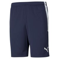 Puma teamLIGA Shorts Herren - navy/wei&szlig;