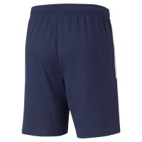 Puma teamLIGA Shorts Herren - navy/wei&szlig;