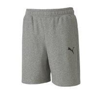 Puma teamGOAL 23 Casuals Shorts Kinder - grau