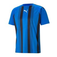 Puma teamLIGA Striped Trikot Herren - blau/schwarz