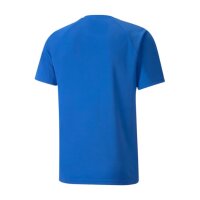 Puma teamLIGA Striped Trikot Herren - blau/schwarz