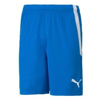 Puma teamLIGA Shorts Herren - blau