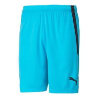 Puma teamLIGA Shorts Herren - hellblau