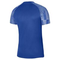 Nike Academy Trikot Kinder - blau