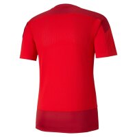 Puma teamGOAL 23 Trainingsshirt Herren - rot