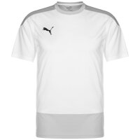 Puma teamGOAL 23 Trainingsshirt Herren - wei&szlig;