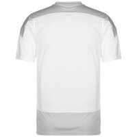 Puma teamGOAL 23 Trainingsshirt Herren - weiß