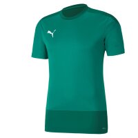 Puma teamGOAL 23 Trainingsshirt Herren - grün