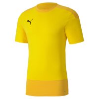 Puma teamGOAL 23 Trainingsshirt Herren - gelb