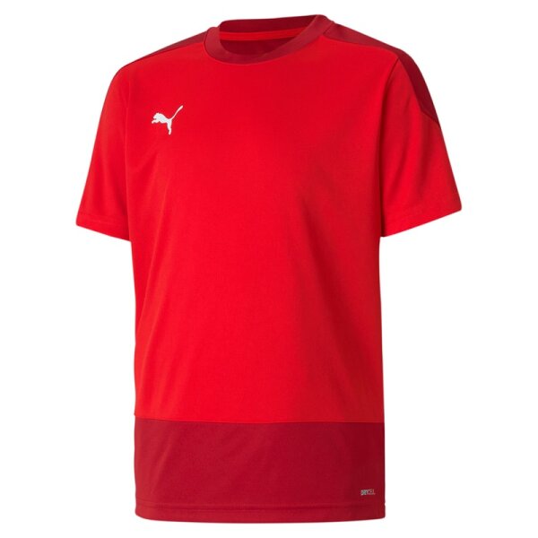 Puma teamGOAL 23 Trikot Kinder - rot