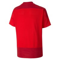 Puma teamGOAL 23 Trikot Kinder - rot