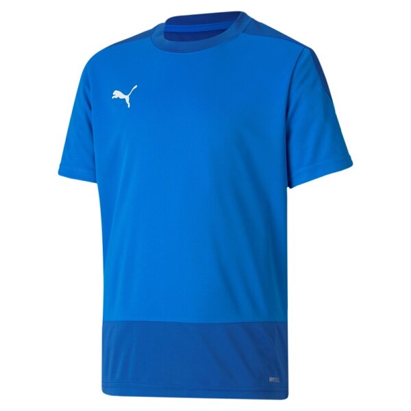 Puma teamGOAL 23 Trikot Kinder - blau