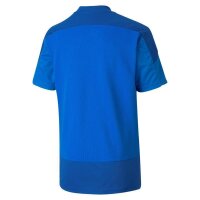 Puma teamGOAL 23 Trikot Kinder - blau