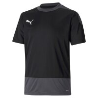 Puma teamGOAL 23 Trikot Kinder - schwarz/grau