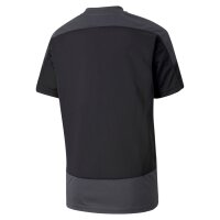 Puma teamGOAL 23 Trikot Kinder - schwarz/grau