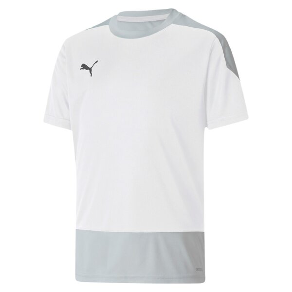 Puma teamGOAL 23 Trikot Kinder - weiß/grau