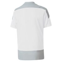 Puma teamGOAL 23 Trikot Kinder - wei&szlig;/grau