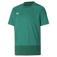 Puma teamGOAL 23 Trikot Kinder - grün