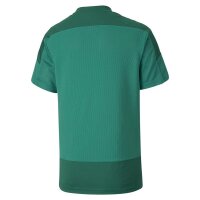 Puma teamGOAL 23 Trikot Kinder - gr&uuml;n