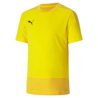 Puma teamGOAL 23 Trikot Kinder - gelb