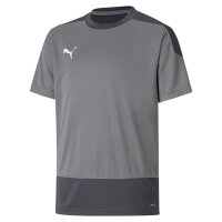 Puma teamGOAL 23 Trikot Kinder - grau