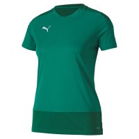 Puma teamGOAL 23 Trikot Damen - grün