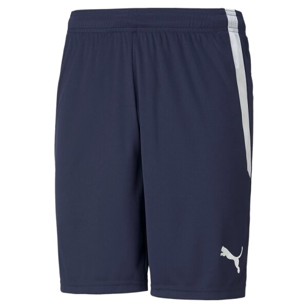 Puma teamLIGA Shorts Herren - navy