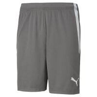 Puma teamLIGA Shorts Herren - grau