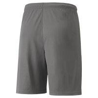 Puma teamLIGA Shorts Herren - grau