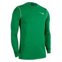 Nike Park 20 Langarm Shirt Herren - grün