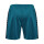 hummel Hmlauthentic Pl Shorts Herren - blue coral