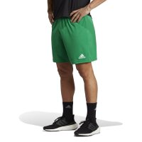 adidas Entrada 22 Shorts Herren - grün