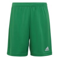 adidas Entrada 22 Shorts Kinder - grün