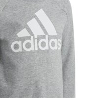 adidas Essentials Logo French Terry Jogginganzug Kinder - grau