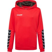 hummel Authentic Hoodie Kinder - rot/schwarz