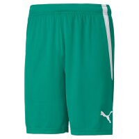 Puma teamLIGA Shorts Herren - grün