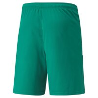 Puma teamLIGA Shorts Herren - grün