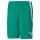 Puma teamLIGA Shorts Herren - grün