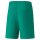 Puma teamLIGA Shorts Herren - grün