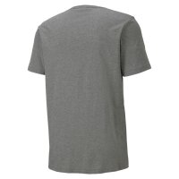 Puma teamGOAL 23 T-Shirt Herren - grau