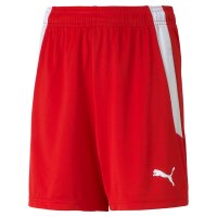 Puma teamLIGA Shorts Kinder - rot