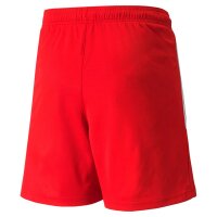 Puma teamLIGA Shorts Kinder - rot