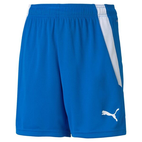 Puma teamLIGA Shorts Kinder - blau