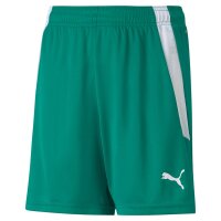 Puma teamLIGA Shorts Kinder - gr&uuml;n